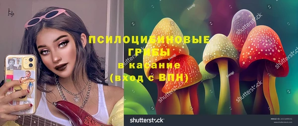 бошки Лиски