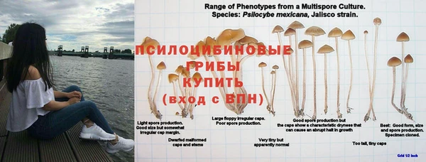 mdpv Гусь-Хрустальный