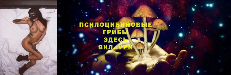 Галлюциногенные грибы Cubensis  Карабаш 