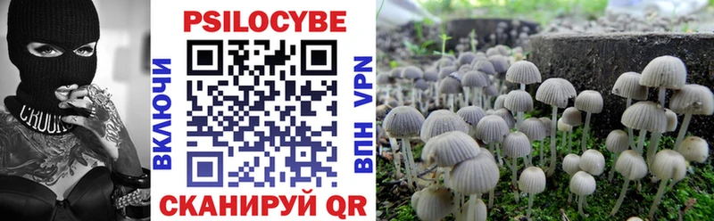 omg зеркало  Карабаш  Псилоцибиновые грибы Magic Shrooms 